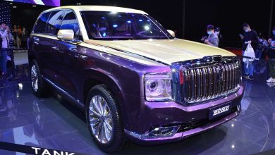 عيوب تانك 800 2025