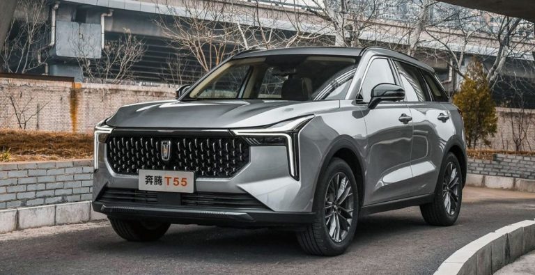 عيوب سيارة بيستون