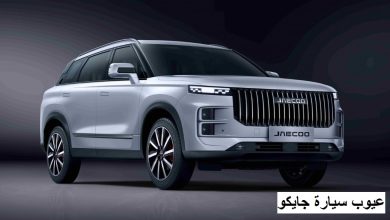 عيوب سيارة جايكو