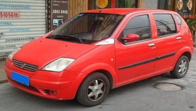 عيوب هافى لوبو 2005