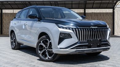 عيوب سيارات دونج فينج